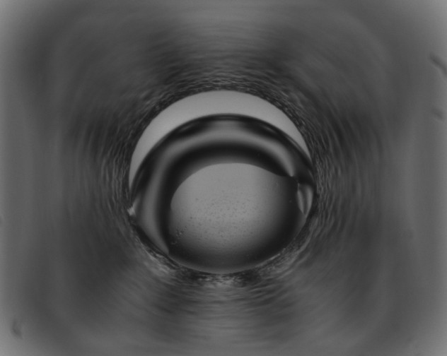X0000093770235200710161248