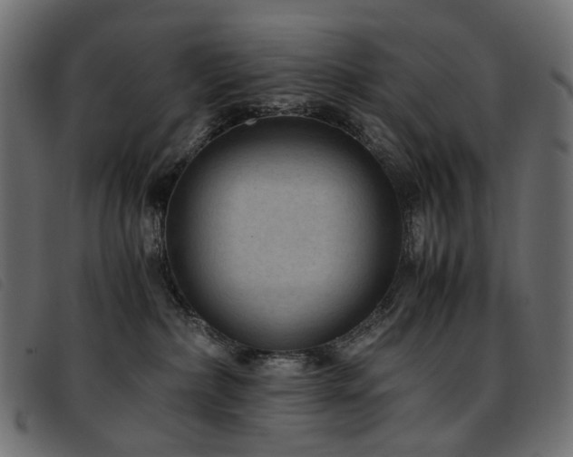 X0000093770236200710161248