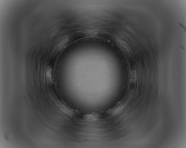 X0000093770238200710161248