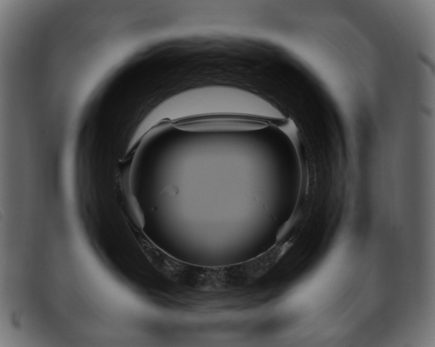 X0000093770239200710161248
