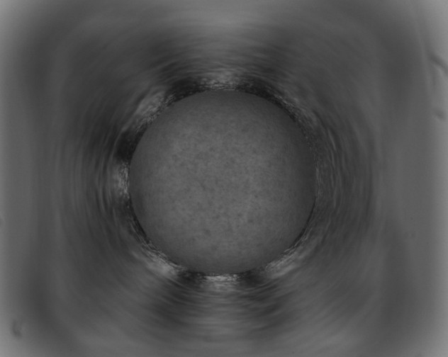 X0000093770240200710161248
