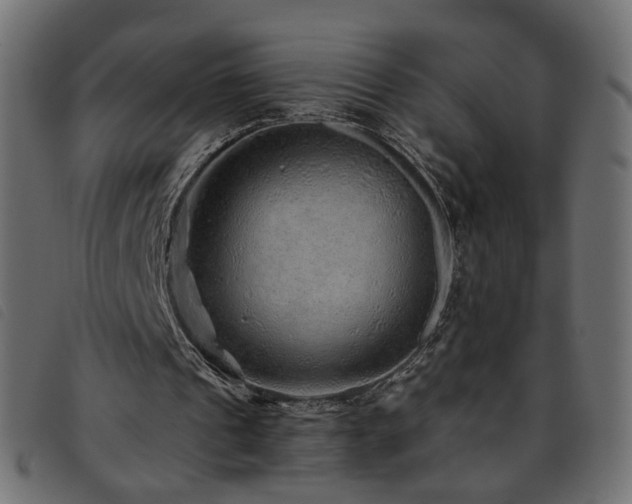 X0000093770241200710161247