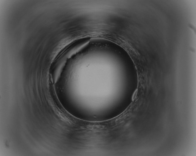 X0000093770242200710161247