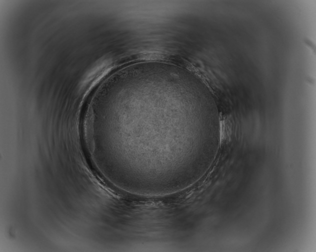 X0000093770243200710161247