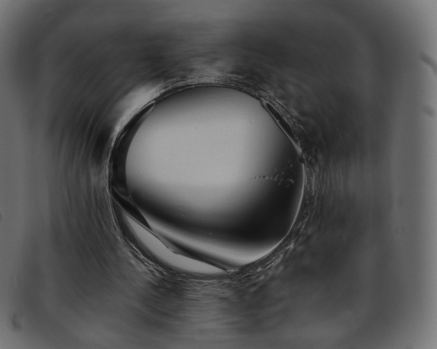 X0000093770244200710161247