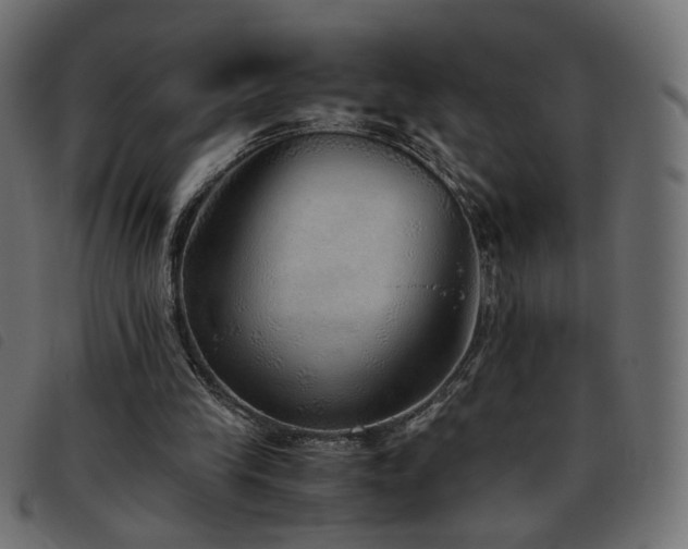 X0000093770245200710161247