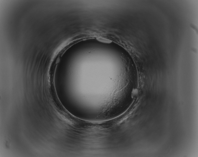 X0000093770246200710161247