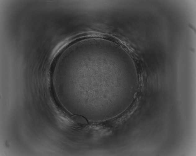 X0000093770247200710161247