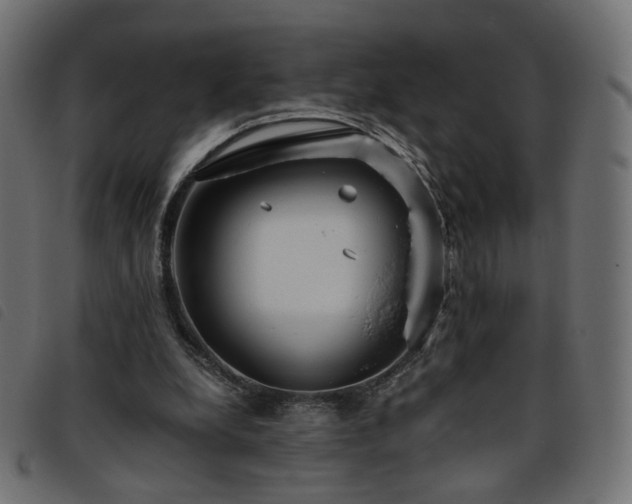 X0000093770248200710161247
