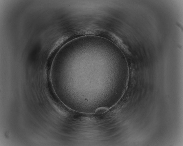 X0000093770250200710161247