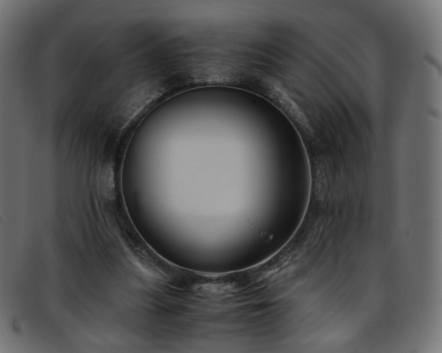 X0000093770251200710161247