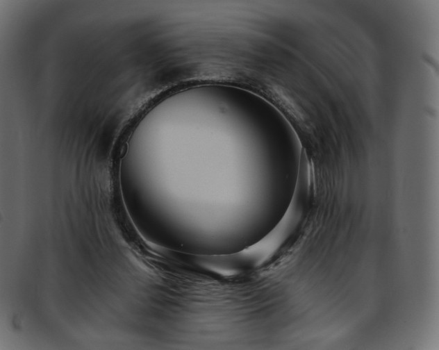 X0000093770252200710161247