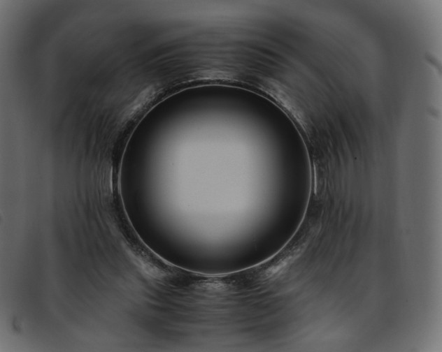 X0000093770253200710161247