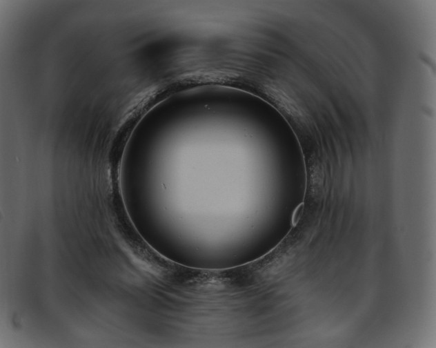 X0000093770254200710161247