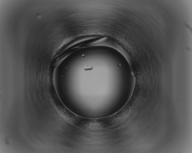 X0000093770256200710161248