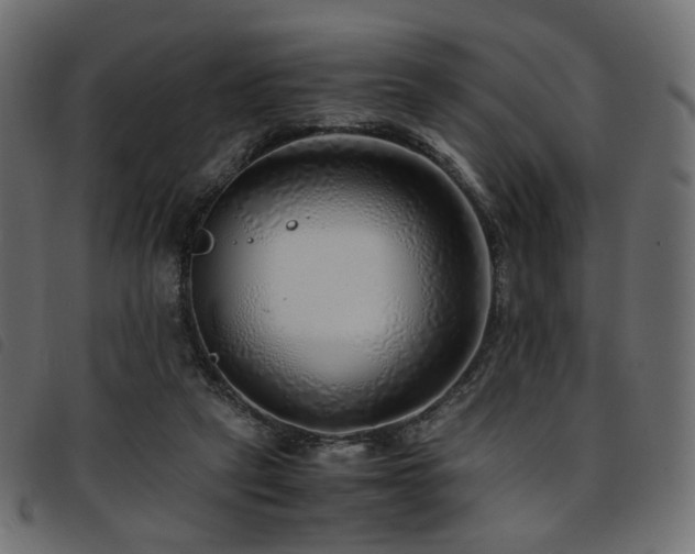 X0000093770257200710161248