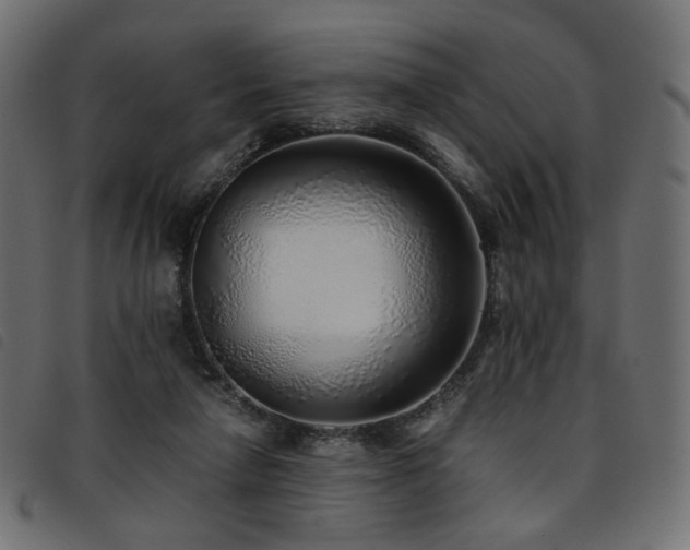 X0000093770258200710161248