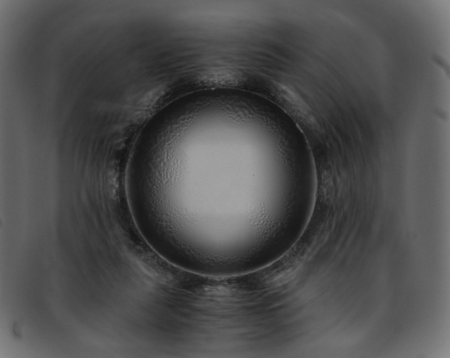 X0000093770259200710161248
