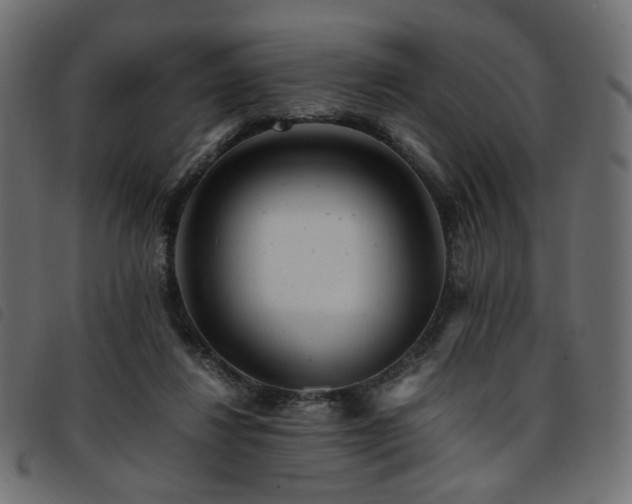 X0000093770260200710161248