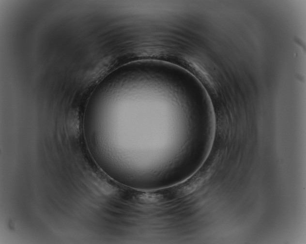X0000093770261200710161248