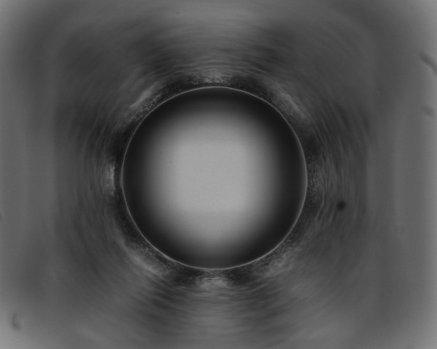 X0000093770262200710161248