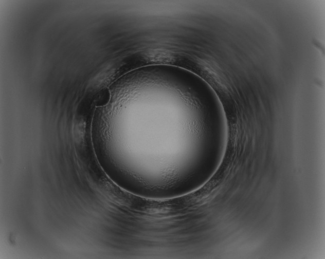 X0000093770263200710161248