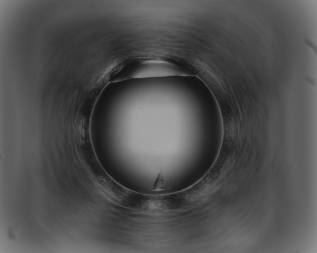 X0000093770264200710161248