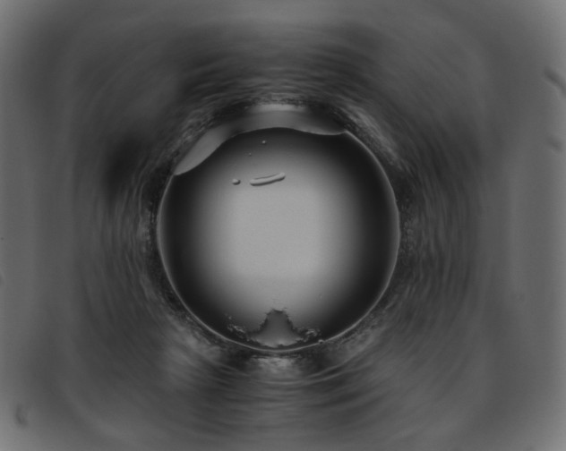 X0000093770265200710161248