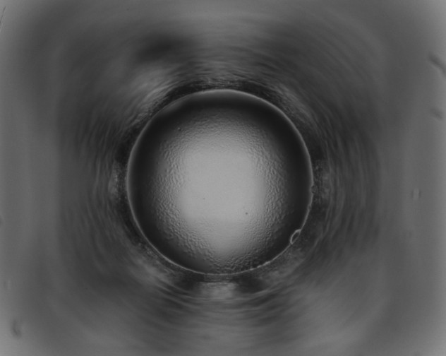 X0000093770266200710161248