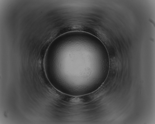 X0000093770269200710161248