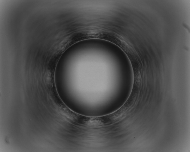 X0000093770270200710161248