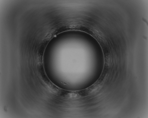 X0000093770272200710161248
