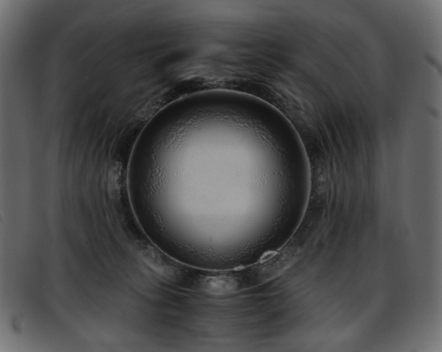 X0000093770275200710161248