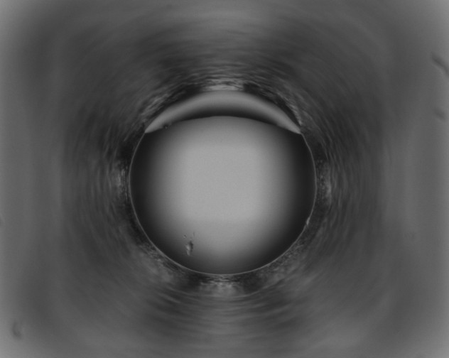 X0000093770276200710161248