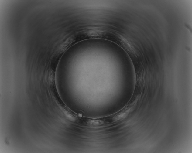 X0000093770277200710161248