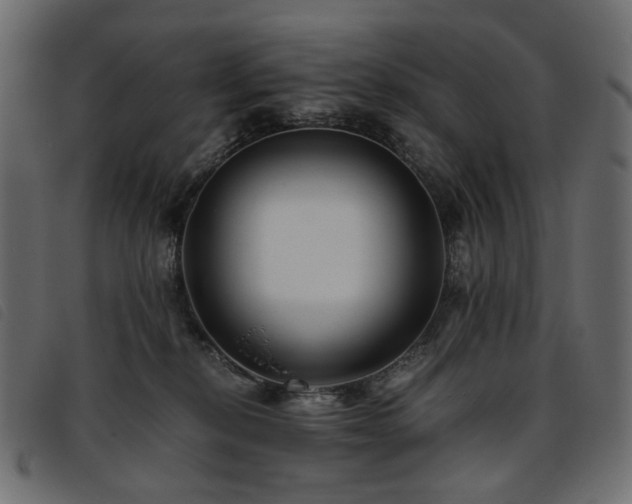X0000093770278200710161248