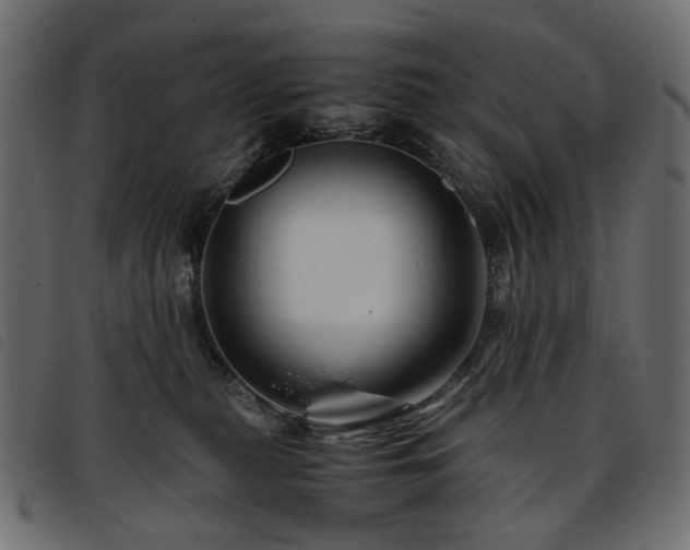 X0000093770279200710161248