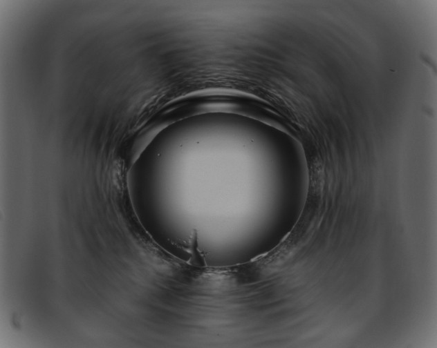 X0000093770280200710161248
