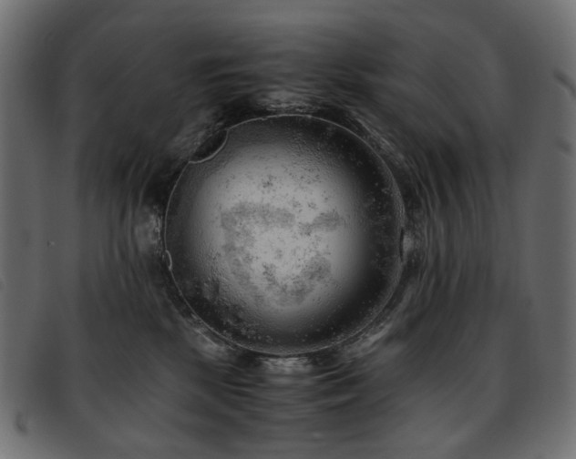 X0000093770281200710161248