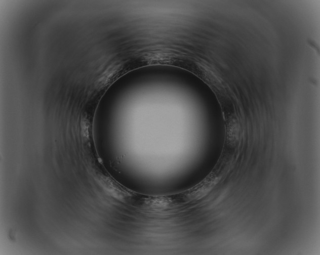 X0000093770282200710161248