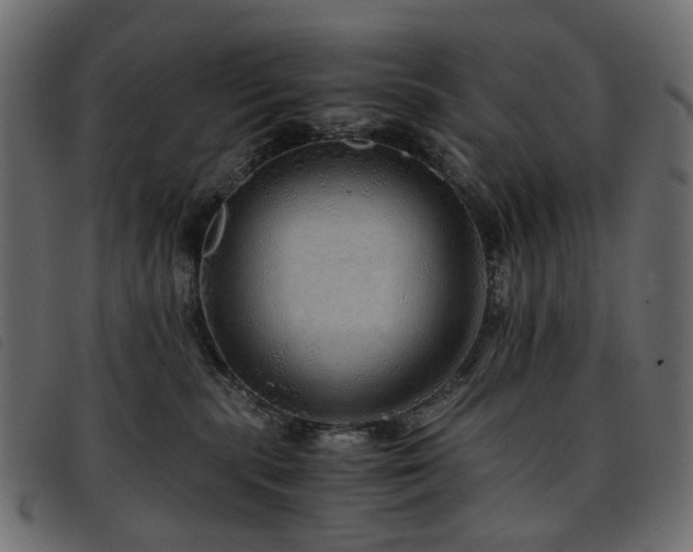 X0000093770283200710161248