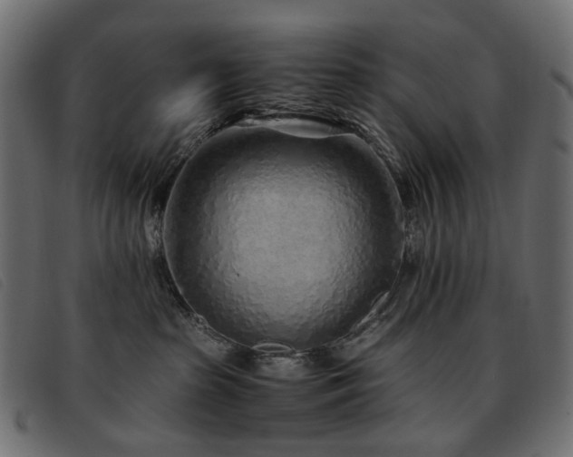 X0000093770285200710161248