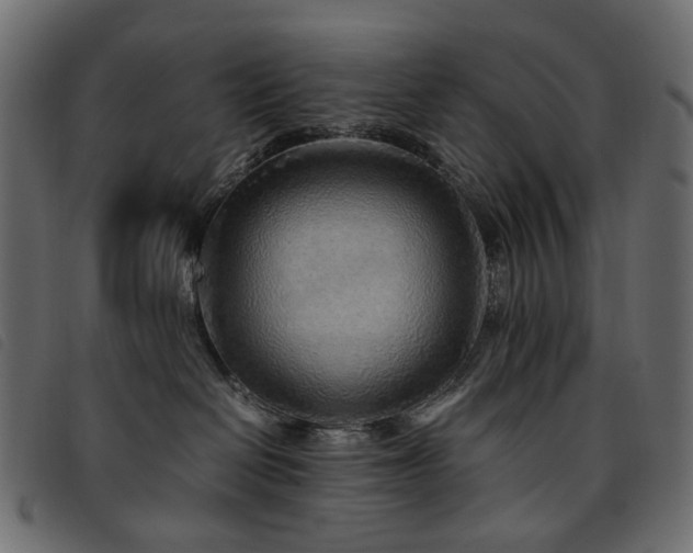 X0000093770286200710161248