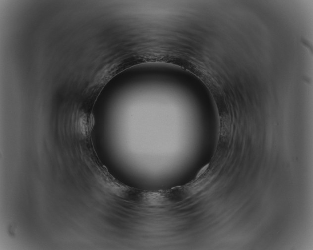 X0000093770287200710161248