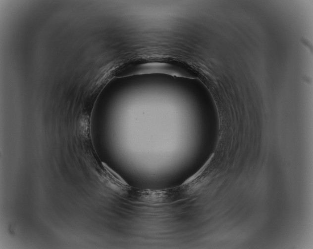 X0000093770288200710161248