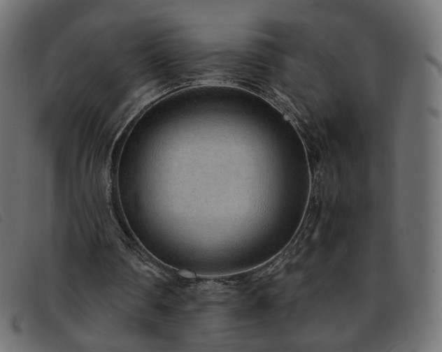 X0000093770290200710161247