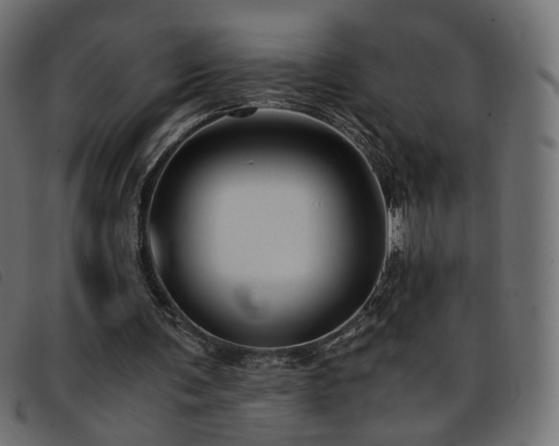 X0000093770291200710161247