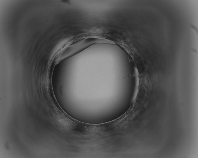 X0000093770293200710161247