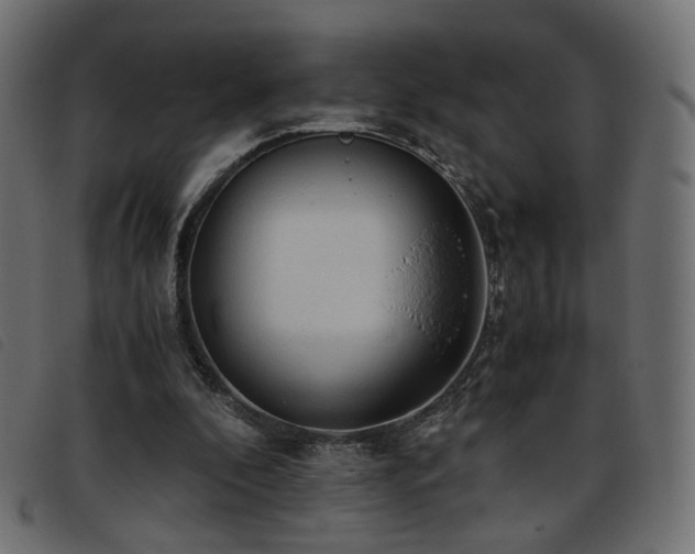 X0000093770296200710161247