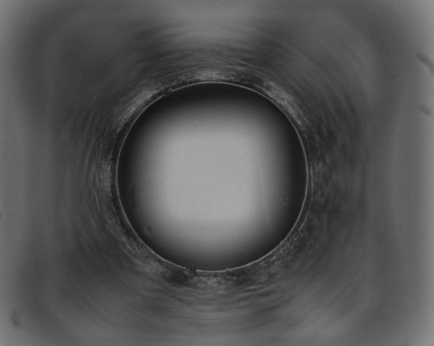 X0000093770297200710161247